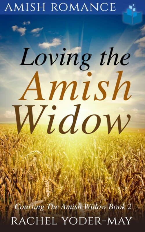 Loving The Amish Widow